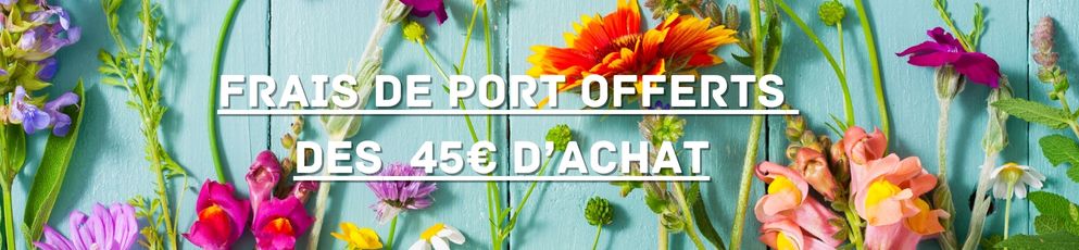 Frais de Port Gratuit à partir de 45€