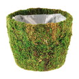 Pot mousse naturelle Pm Pot mousse naturelle Pm