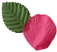 Pétale de rose et feuille coloris Rose Fuchsia