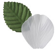 Pétale de rose et feuille coloris Blanc