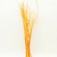 Mitsumata Orange botte