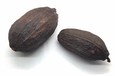 FEVE DE CACAO