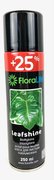 Bombe Spray Floralife OASIS pour faire briller les feuillages PM