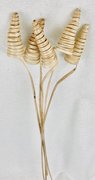 Cane cone naturel par 5 pièces