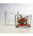 Vase cube en verre 6 x 6 cm