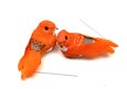 Oiseaux orange sur pique x2