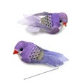 Oiseaux violet sur pique x2