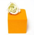 Cube OASIS GM couleur Mandarine 15 x 15cm
