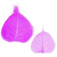 Squelettes de feuilles Rose Fuchsia x 5