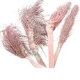 Torche de palmier naturelle rose X 3.