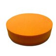 Tarte OASIS couleur MANDARINE MM
