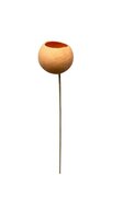 Bell cup sur tige couleur Pêche x 1