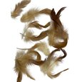 Petites Plumes de Poulet Naturelles Paques x 20 