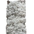 Mousse lichen d'islande blanc grand format