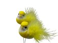 Oiseau sur tige jaune x 2