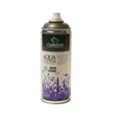 Bombe (Sprays) AQUA Colour Paillettes OASIS ARGENT pour Végétaux.