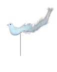 Oiseau Blanc sur pique.