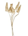 Cane cone naturel par 5 pièces