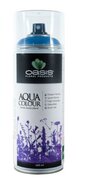 Bombe (spray) de peinture florale Bleu ciel Oasis Aqua color Bombe (spray) de peinture florale Bleu ciel Oasis Aqua color