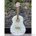 Guitare Acoustique mousse OASIS pour fleurs fraiches sur pied.