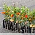 Raquette Deuil OASIS Eychenne All Black 60 CM Instant.