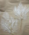Lot de 2 feuilles de fougères stabilisées couleur blanche.