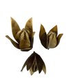 Fleur de Lys séché x 1