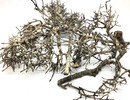 Bois de bonsaÏ NATUREL séché