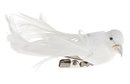 Petit Oiseau Blanc sur Clip x 4
