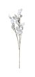 Monnaie du pape ( lunaria ) artificiel x1 branche.