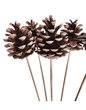 Pomme de pin sur tige x 4