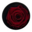 Rose stabilisée Verdissimo couleur Rouge par 1 pièce