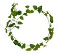 Guirlande artificielle feuille de Pothos. Guirlande artificielle feuille de Pothos.