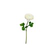 Renoncule artificielle Blanche