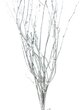 Botte Branches de Bouleau argent Pailletées de 6 branches environ.