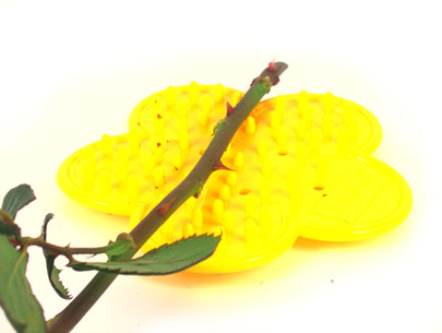  Outil éffeuilleuse OASIS