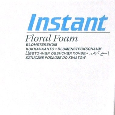 Carton de 20 briques mousse florale OASIS INSTANT Qualité professionnelle 