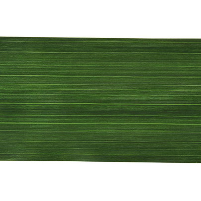 Ruban feuillage aspidistra vert artificiel par 2.50 m 