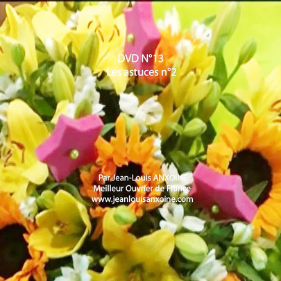 DVD cours d'art floral N°13 Les astuces dans l'art floral tome 2