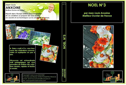 DVD cours d'art floral N°19 