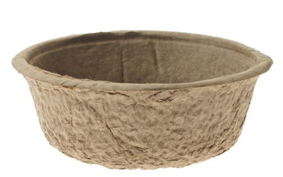 Coupe à garnir compostable.