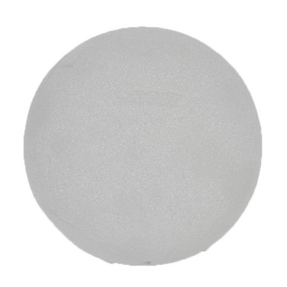 Boule OASIS pour fleurs séchées 20 cm