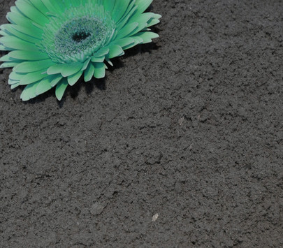 Flocon de poudre OASIS coloris Noir
