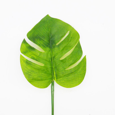 Feuille de philodendron artificielle