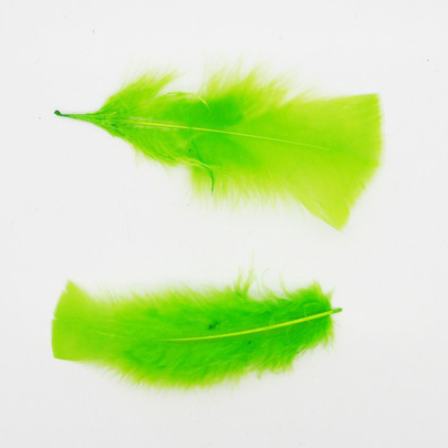 Plume colorée Vert anis