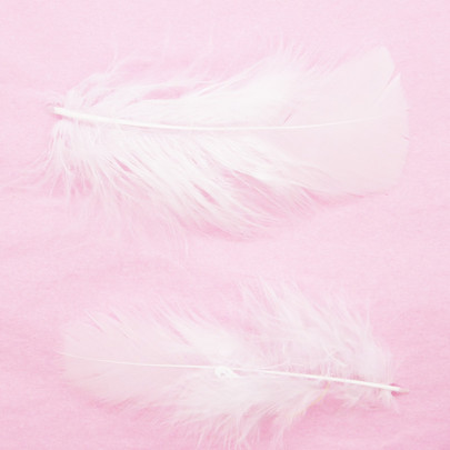 Plume colorée Blanche