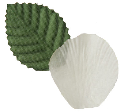 Pétale de rose coloris Ivoire