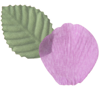 Pétale de rose et feuille coloris Parme