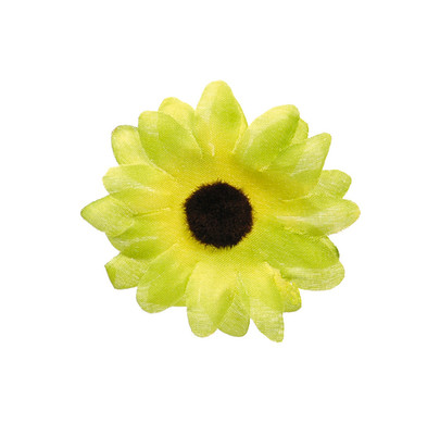 Gerbera sans tige par 24 pièces couleur Vert