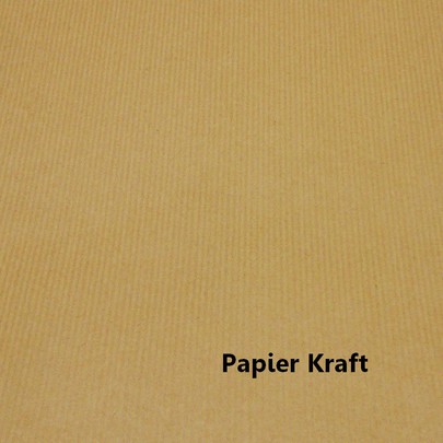 Papier kraft 50 feuilles 40 X 60 CM